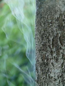 Dobbelttjek lige din lækagesporing!