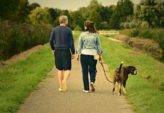 Gør familien rigere med en dejlig hund