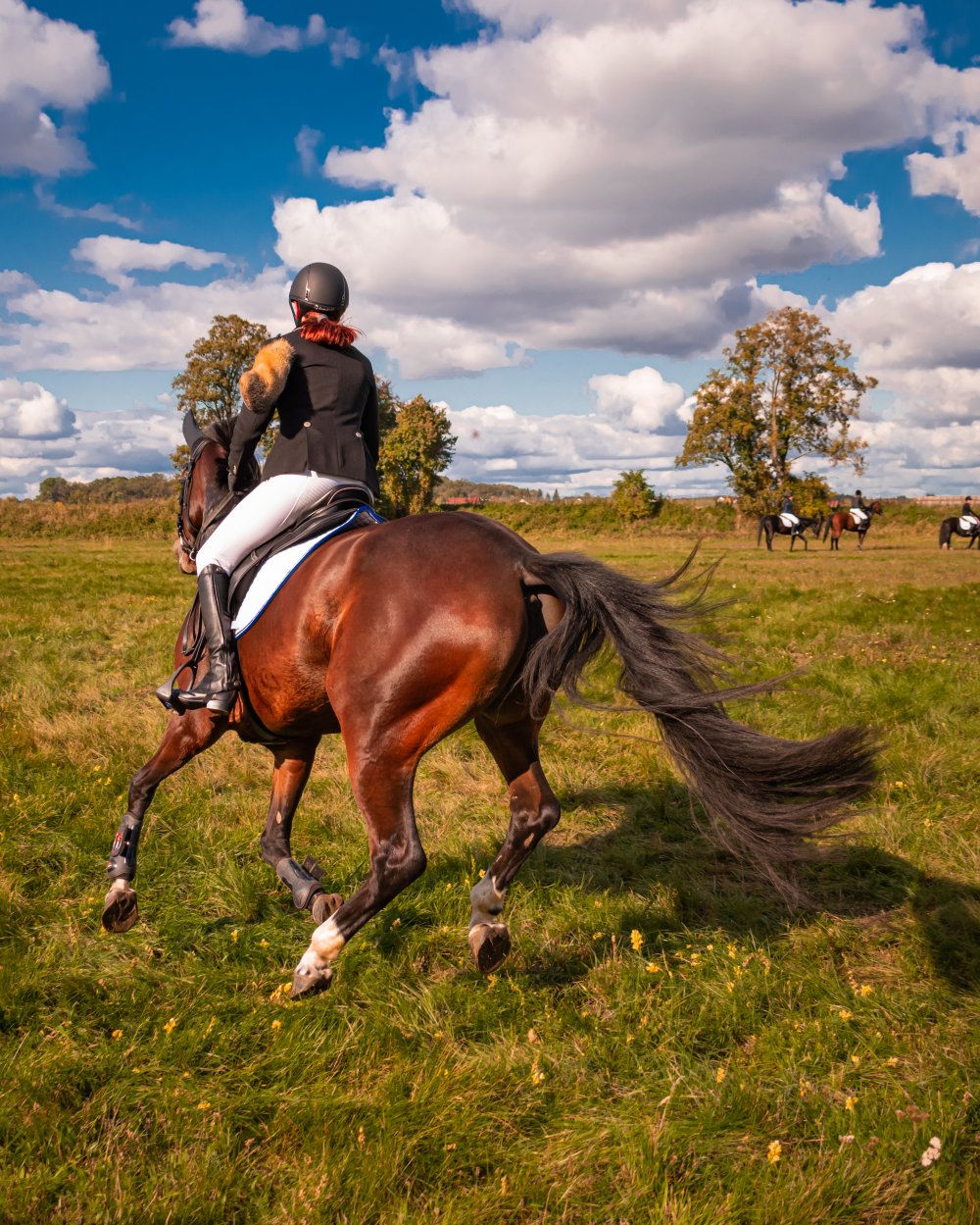 Styrk dine ridefærdigheder på lokal rideskole
