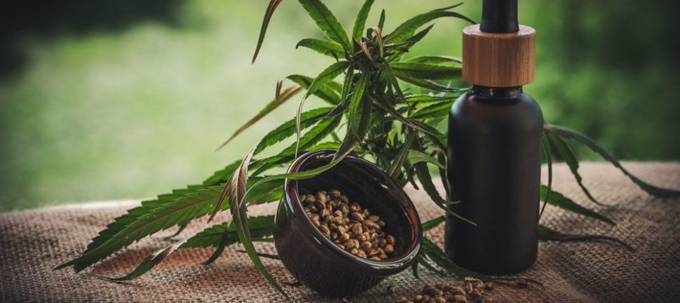 Hvad er CBD og hvordan kan det bruges?